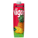 VIGOR